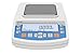 Radwag PS 600.R1 Precision Balance 600g x 0.001g