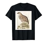 pajaros de perdiz de campo en granada Ilustraciones hermosas de la naturaleza del pájaro de la perdiz del vintage de Theo Van Hoytema. Perfecto para pintores, naturalistas, amantes de la naturaleza, observadores de aves y artistas.