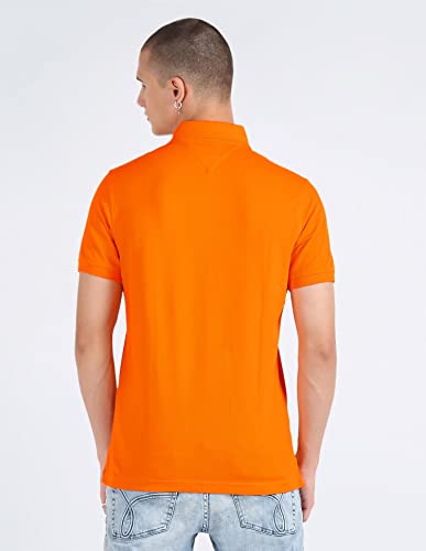 Image of Tommy Hilfiger Men Polo