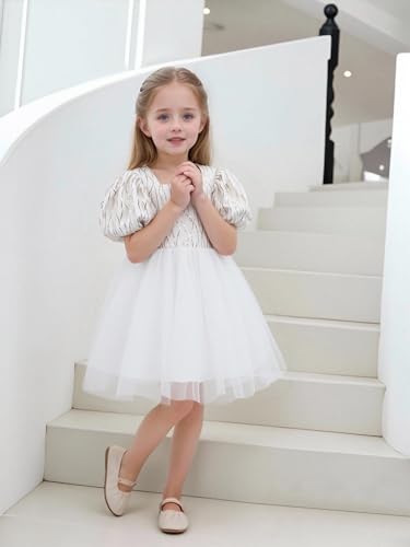 KARETT Toddler Girl Tulle Dress Puffy Sleeve Princess Tutu Girls Formal Dresses for Birthday Party 1-7Y2