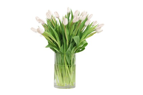 Image of KaBloom-30 White Tulip Bouquet,Flowers for Valentine, Mother's Day