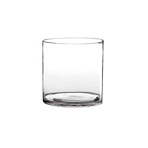 LOLAhome Jarrón Cilíndrico de Cristal Transparente Decorativo para Flores, Diseño Redondo, Ø 20x20 cm, Resistente y Elegante, para Decoración de Interiores, arreglos Florales, Centros de Mesa.