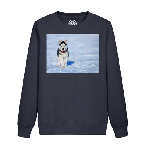 Sweatshirt enfant chiot husky yeux bleus le compagnon doux