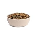 Fuzzl Premium Bamboo Dog Bowl in Stone 17cm - Eco-Friendly, Antibacterial, Durable, Non-Toxic Dog Bowls - Versatile Dog Water Bowl for Hydration, Feeding