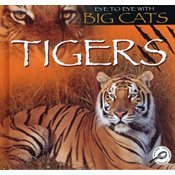 Library Binding Tigers [Large Print] Book
