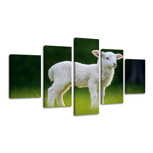 5 Piece Large Wall Art Prints Paintings cute little lamb