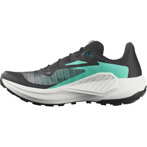 SALOMON Genesis