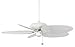 Fanimation CASA Bruno Outdoor Ventilador de Techo Belleria, Blanco, aspas Composite con Aspecto bambú Blanco