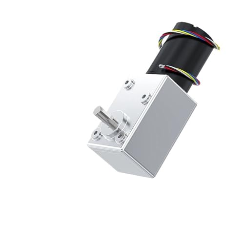 Moteur à engrenages cc sans balais 12V 24V réducteur vis sans fin 260 tr min