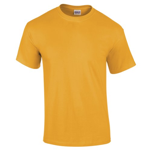 Image of Gildan Men's G500 T-Shirt