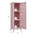 MIOCASA Metal Cabinet Home Office Storage Cabinets with Doors and Shelves Lockable File Cabinet Organizer Coat Lockers for Kids