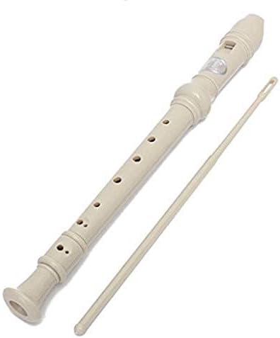 JRDHGRK Holes Long Flute Instrument for Children Educational Tool Musical Soprano Recorder Popular, Onecolor