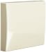 Produktbild Busch-Jaeger BUSC Wippe 2106-32 AW44