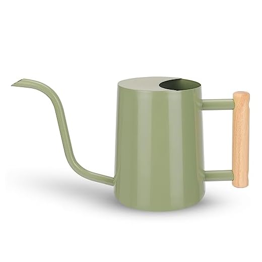 CEWOR Sage Green 35 Oz Metal Watering Can with Long Spout for Indoor & Outdoor Plants