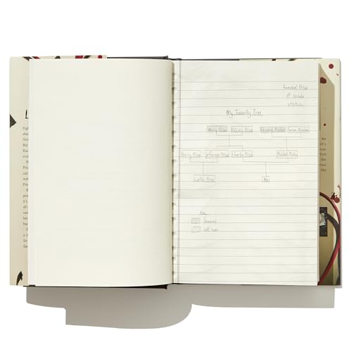 The Reappearance of Rachel Price