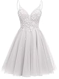 Tulle Homecoming Dresses for Teens V Neck Short Lace Prom Dress A-Line Beaded Cocktail Dresses White Size 2
