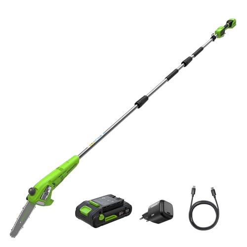 Greenworks Sierra de Pértiga Inalámbrica de 24V, 2,68 m, Motosierra Eléctrica de 20 cm con Engrasador Automático, Velocidad de Cadena de 6,7 m/s, Batería 2Ah y Cargador USB C de 30W
