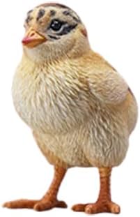 Amazon Ac Jxk Jxk321 1 3 動物 映画 アニメ ゲーム モデル 置物シリーズ 若鶏 ひよこ A フィギュア ドール 通販 Amazon Ac Jxk Jxk321 1 3 動物 映画 アニメ ゲーム モデル 置物シリーズ 若鶏 ひよこ A フィギュア ドール 通販