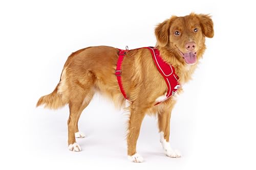 Belka Harness Adjustable Neck Black XL