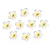 Produktbild Frcolor Hawaiian Haar Blumen Strand Hochzeit Blume Haarspange, 10er Pack