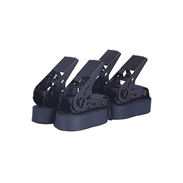 Sandax 4er-Set Zurrgurte mit Ratsche, langlebige Einteilige Spanngurte, Ratschengurte, LÃ¤nge 4 Meter (4m), Breite 25mm, Farbe schwarz, TÃV Zertifiziert, belastbar bis 900kg, nach DIN EN 12195-2