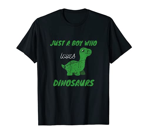 Solo un niño que ama a los dinosaurios Diseño lindo de Camiseta
