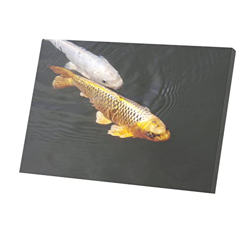 Tableau carpes koi vie sauvage or et blanc toile tendue chic