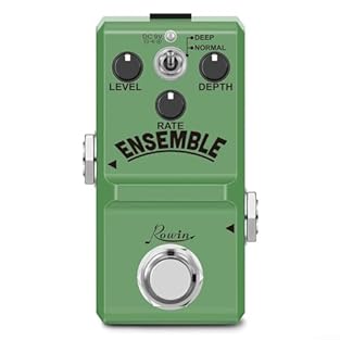 [SMOOTH AND SUSTAINED SOUND] Experience rich, sustained tones perfect for soaring leads and captivating melodies with the Rowin Chorus Effect Pedal. [COMPACT AND PORTABLE DESIGN] Its super mini size allows you to easily fit this pedal in your palm, m...