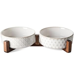 LE TAUCI Dog Bowl Set with Acacia Wood Stand – 1.5-Cup Ceramic Puppy Bowls for Small Dogs, Dual Food and Water Bowls with Weighted Non-Slip Base, Clover