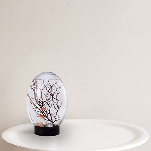 Mini Aquarium, Ecosphere Closed Aquatic Ecosystem Desktop Aquarium With Led Light & Revolving Base, No Need To Feed & Change Water Fish Tank Decor For Home Office (Black) #TOP6