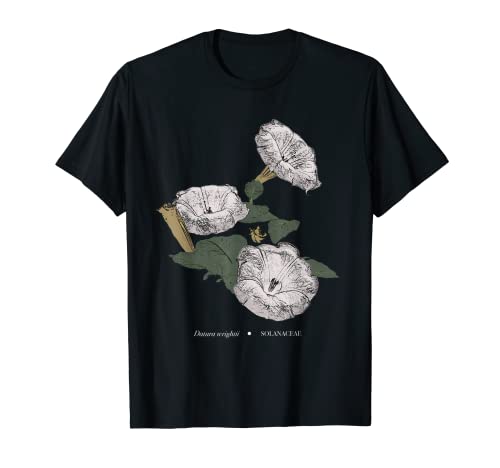 Photo de Marque : Datura wrightii - Solanaceae T-Shirt