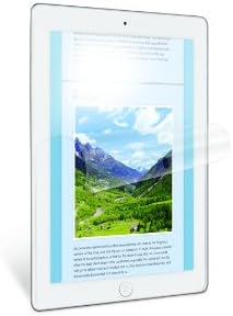 3M Natural View Anti-Glare Screen Protector for the iPad (3rd Generation) and the iPad 2 (NVAGiPad3RTL)