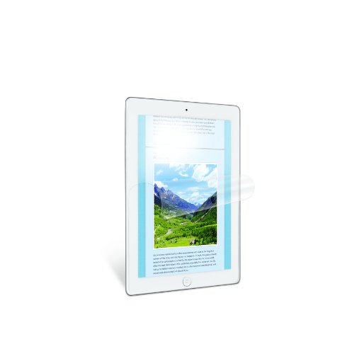 3M Natural View Anti-Glare Screen Protector for the iPad (3rd Generation) and the iPad 2 (NVAGiPad3RTL)