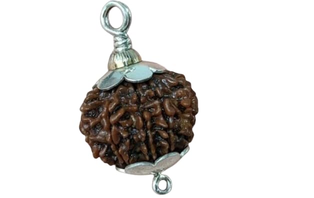 RudraGallery 11 Mukhi Rudraksha Nepal with Silver Capping1 मुखी रुद्राक्ष लैब सर्टिफिकेट Ekadash Mukhi Mala for Men Women 11 Face Rudraksha Original Certified Gyarah Mukhi Rudraksha-image-32
