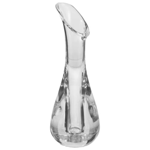 Abaodam Jarrón de Plástico Transparente Irregular Estilo Nórdico Florero Pequeño Decorativo para Escritorio y Mesa de Comedor para Flores Secas y Centros de Mesa Hogar y Cafetería