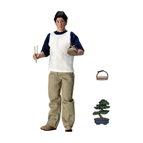 NECA The Karate Kid Action Figure Cover