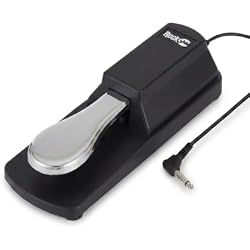 RockJam RJSP01 Universal Sustain Pedal for Keyboards & Digital Pianos | Universal 6.35mm piano sustain pedal with polarity switch, anti-slip base & long cable for keyboards