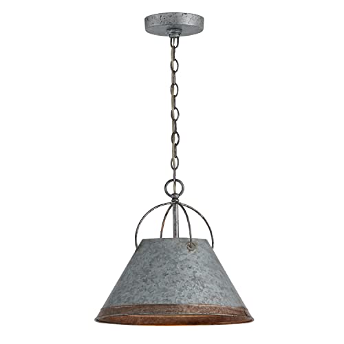 Austin Allen 9E363A Alvin Urban/Industrial Metal Dome Pendant Lighting Fixture 1-Light 100 Watt, 12" H X 14" W, Antique Galvanized #TOP5