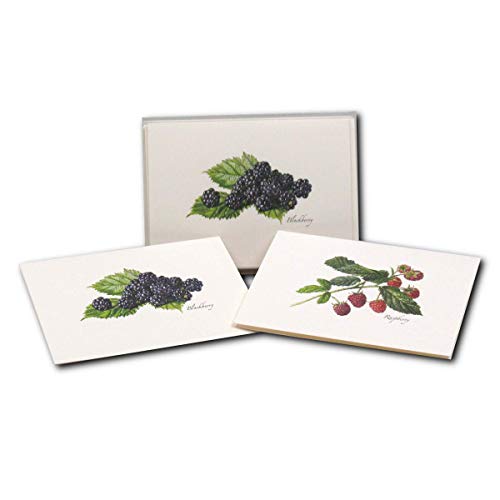 Image of Earth Sky + Water - Berry Assortment II Notecard Set - 8 Blank Cards with Envelopes (4 each of 2 styles)