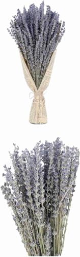 Ramos de lavanda seca para decoración y fragancia miniatura 5