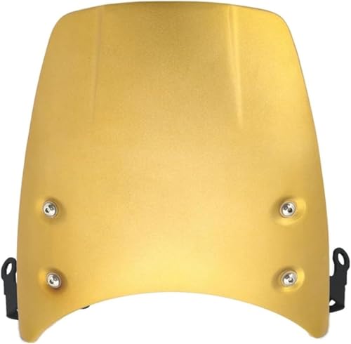 Pare-vent pour moto BMW R9T Scrambler 2022 déviation air et vibrations