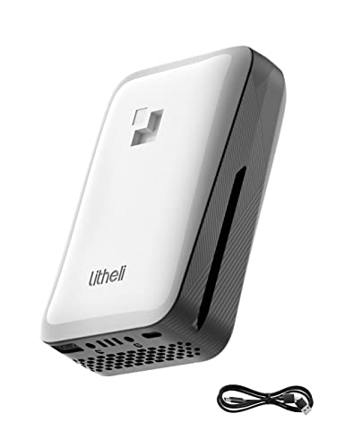 LiTHELi Portable Charger 4.0Ah Lithium Batteries 45W Max Power Bank, Suit for U20 Power Tools and Outdoor Power Equipment