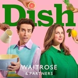 Dish cover art