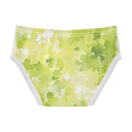 KLL Watercolor Toddler Boy Pure Cotton Nighttime Underwear Cute Children Undies2