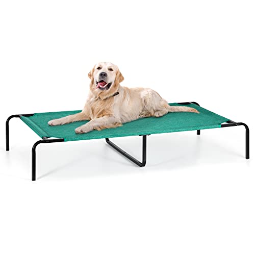 List of Top Ten Best Elevated Cots For Dogs [Top Picks 2023 Reviews]