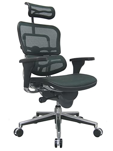 Image of Ergohuman Eurotech Seating High Back Mesh Managers Chair, Green