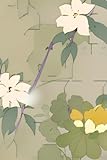 garrett hedlund couple  MY GARRET 020: flower minimal watercolor