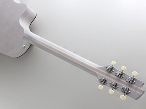 Amazon | FGN (Fujigen フジゲン 富士弦) AG1-TWF Acoustic Guitar