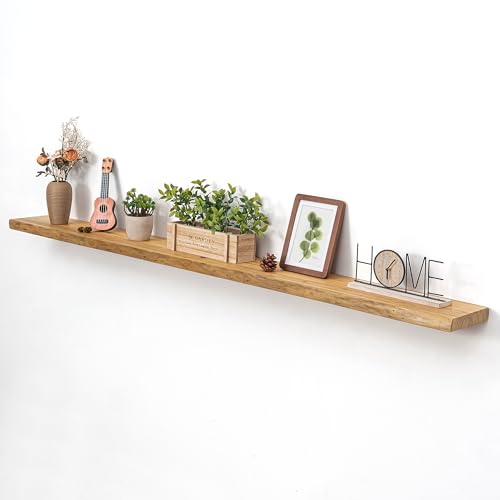 Dreamland Floating Shelf for Wall 72