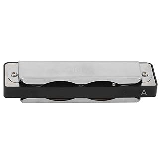 10 Trous Mouthorgan, Harmonica clé A étanche, Couleur Transparente Brillant Résistant à la Corrosion avec Sac Harmonica pour Enfants Débutants (Noir) - Les Beatles, Paul McCartney, John Lennon, RIngo Starr, George Harrison